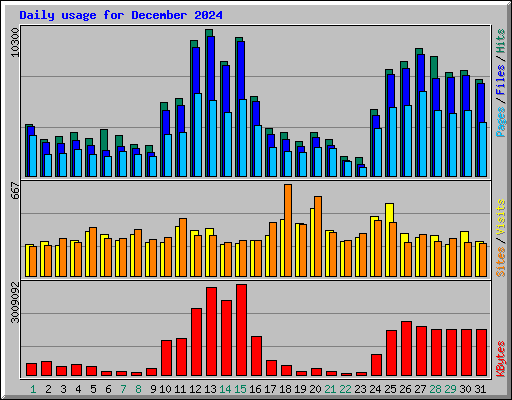 Daily usage for December 2024