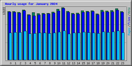 Hourly usage for January 2024