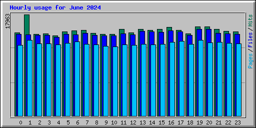 Hourly usage for June 2024