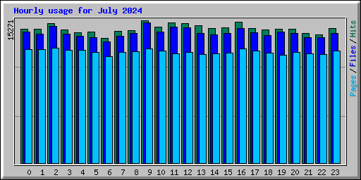 Hourly usage for July 2024