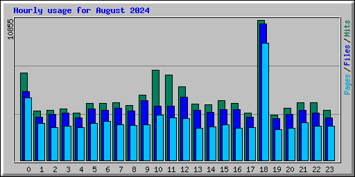 Hourly usage for August 2024