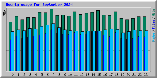 Hourly usage for September 2024