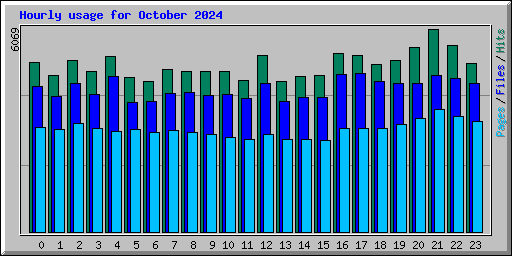 Hourly usage for October 2024