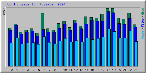 Hourly usage for November 2024