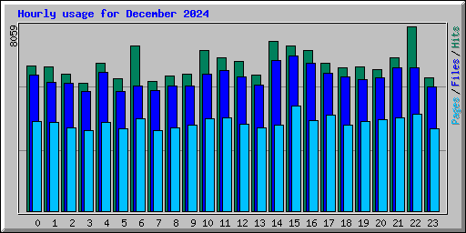 Hourly usage for December 2024