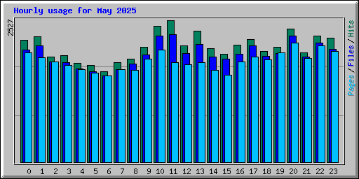 Hourly usage for May 2025